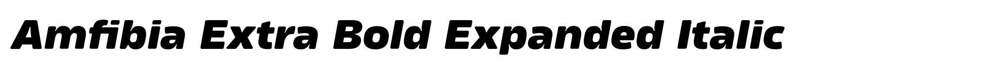 Amfibia Extra Bold Expanded Italic image